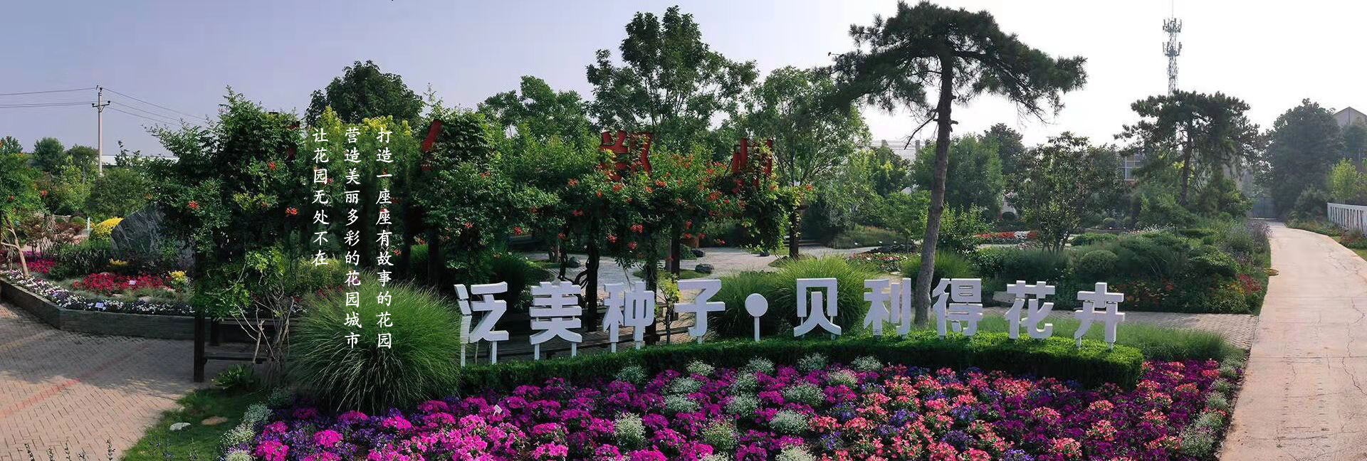 首頁主圖